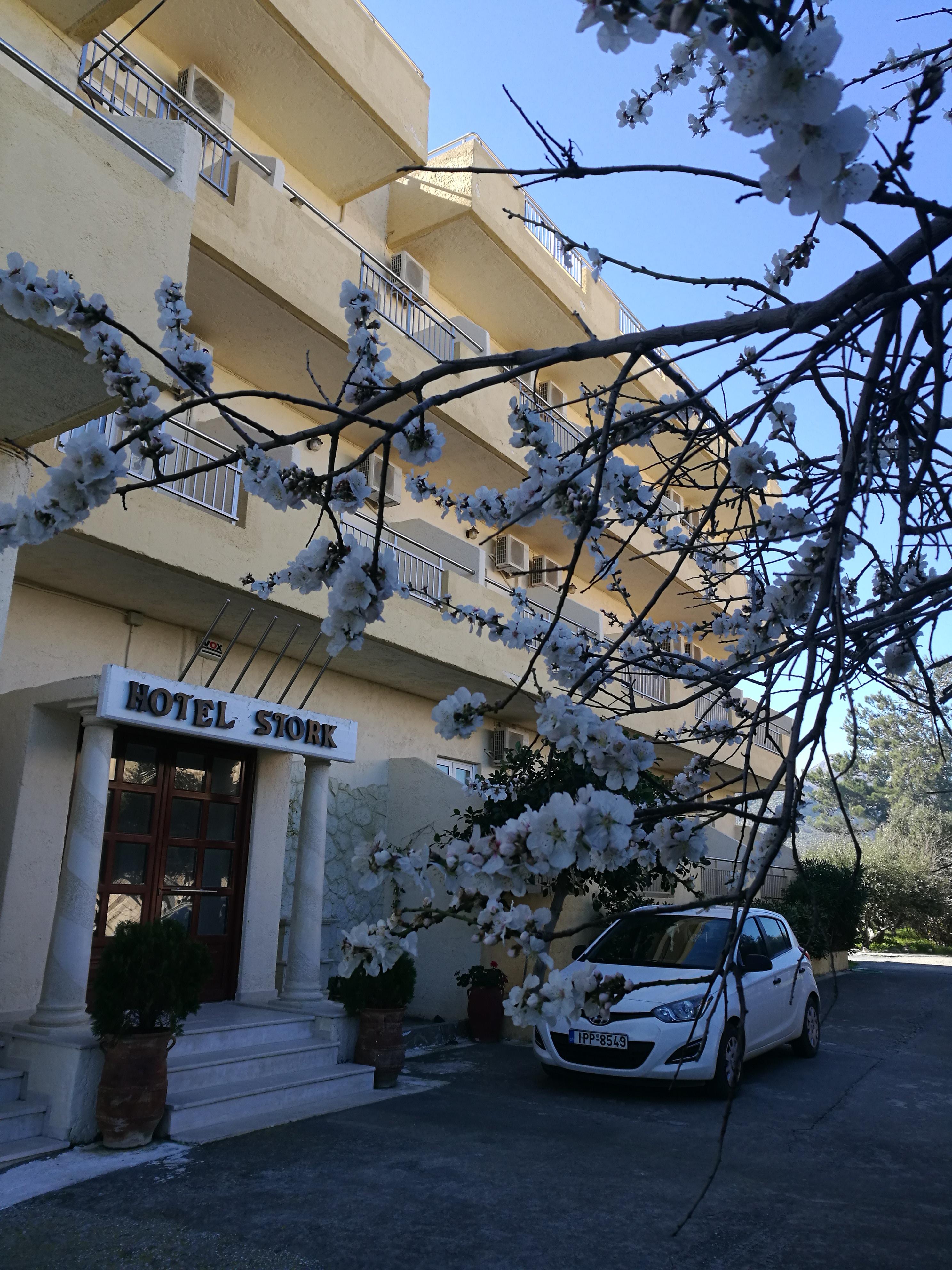 Stork Hotel Amoudara Lasithiou Dış mekan fotoğraf